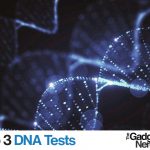Best DNA Tests