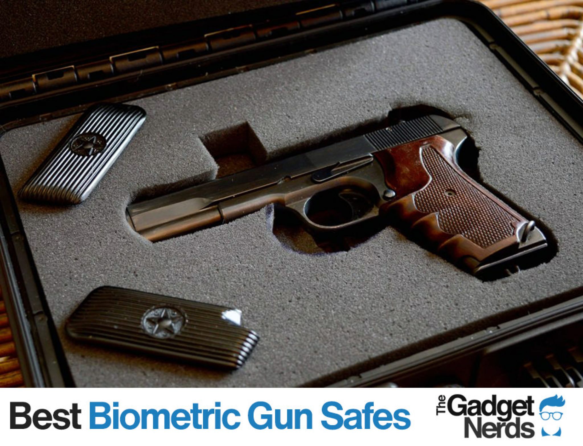 biometric gun safe best