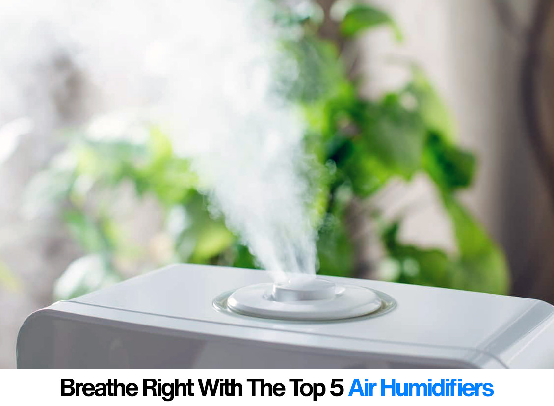 top 5 humidifiers