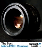 The Top 3 Nikon DSLR Cameras of the Year – We Reveal Our Favorites