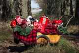 Stuck For Gift Ideas? Gardening Gifts – Ideal Presents