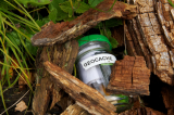 Challenge Accepted? –  Geocaching, Outdoor Adventure for All